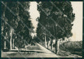 Pisa Vecchiano Migliarino Carretto Camion PIEGHINE Foto FG cartolina KF3267 – fronte