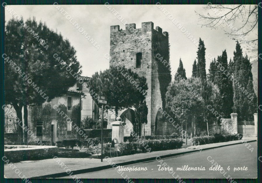 Pisa Vicopisano Foto FG cartolina KF3269 – fronte