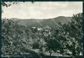 Cuneo Viola Foto FG cartolina KF3289 – fronte