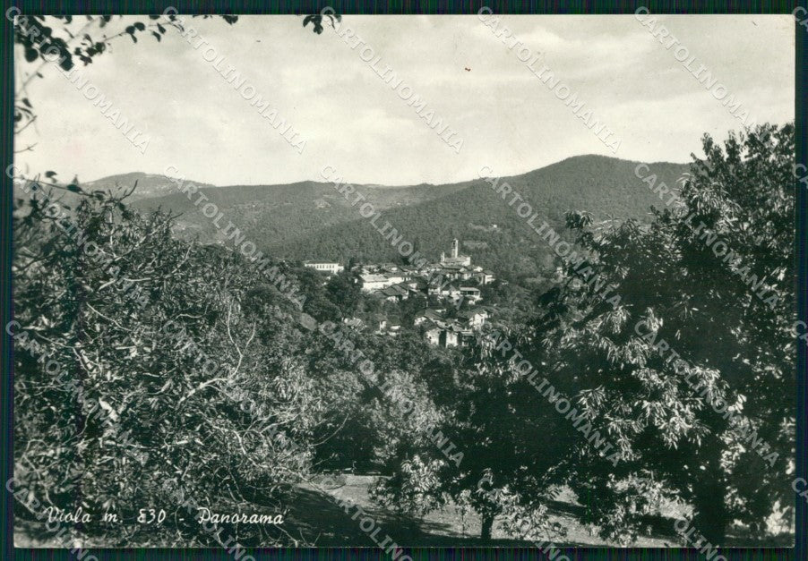 Cuneo Viola Foto FG cartolina KF3289 – fronte