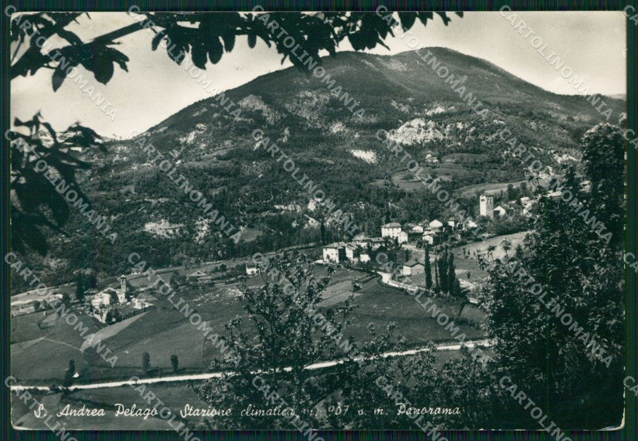 Modena Pievepelago Sant'Andrea Pelego Foto FG cartolina KF3298 – fronte
