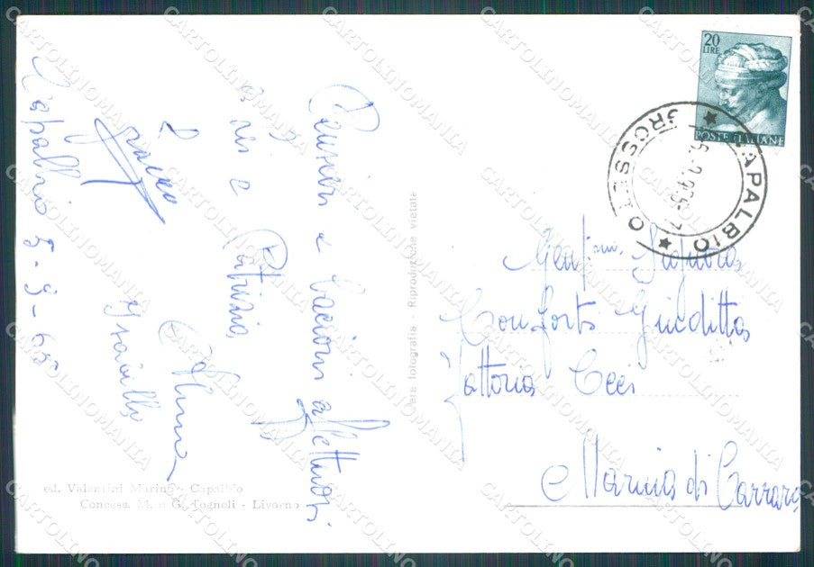 Grosseto Capalbio Foto FG cartolina KF3302 – retro