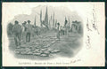 Ravenna Porto Corsini mercato del pesce postcard cartolina KF3370 – fronte