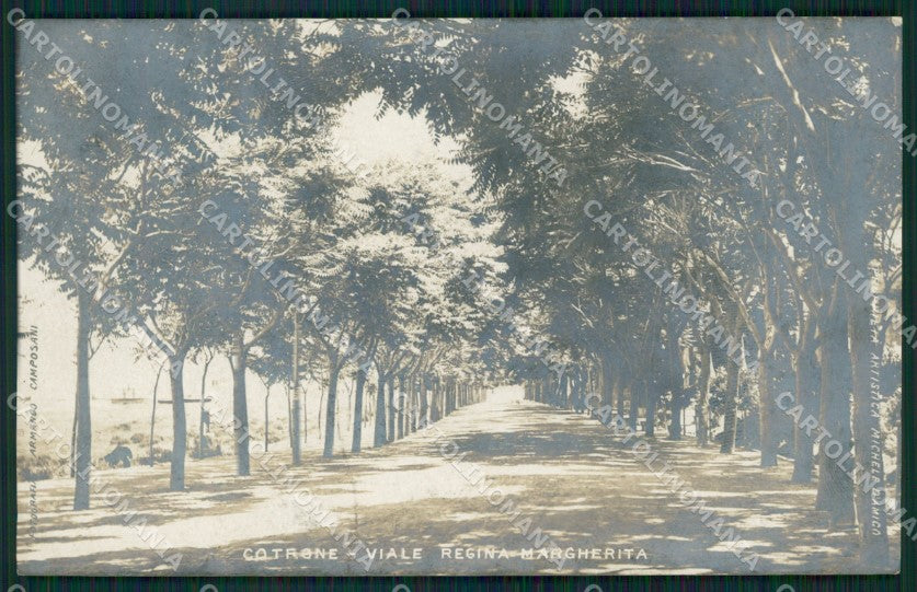 Crotone Cotrone città viale Regina Margherita Foto postcard cartolina KF3459 – fronte