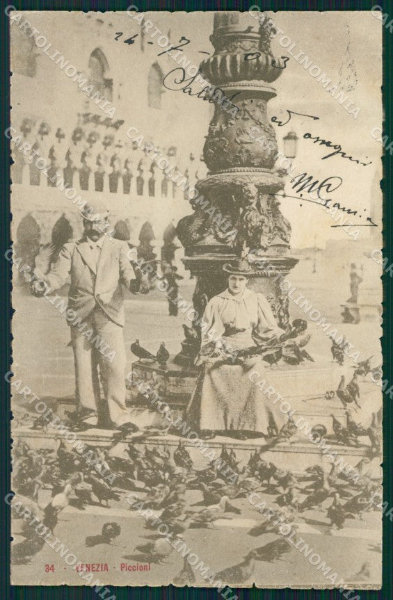 Venezia città Piccioni postcard cartolina KF3483 – fronte