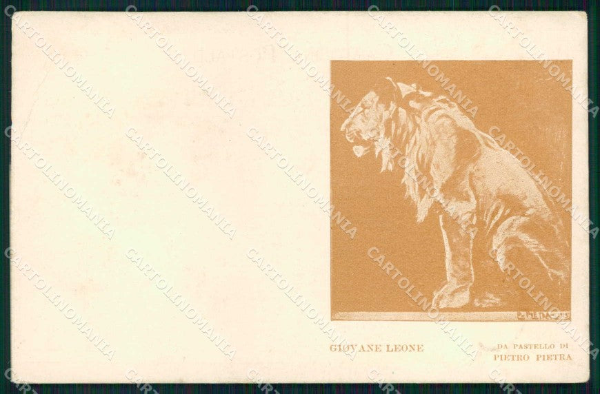 WWI WW1 Militari Pro Casa del Soldato Pietra Piacenza PIEGHE cartolina KF4940 – fronte