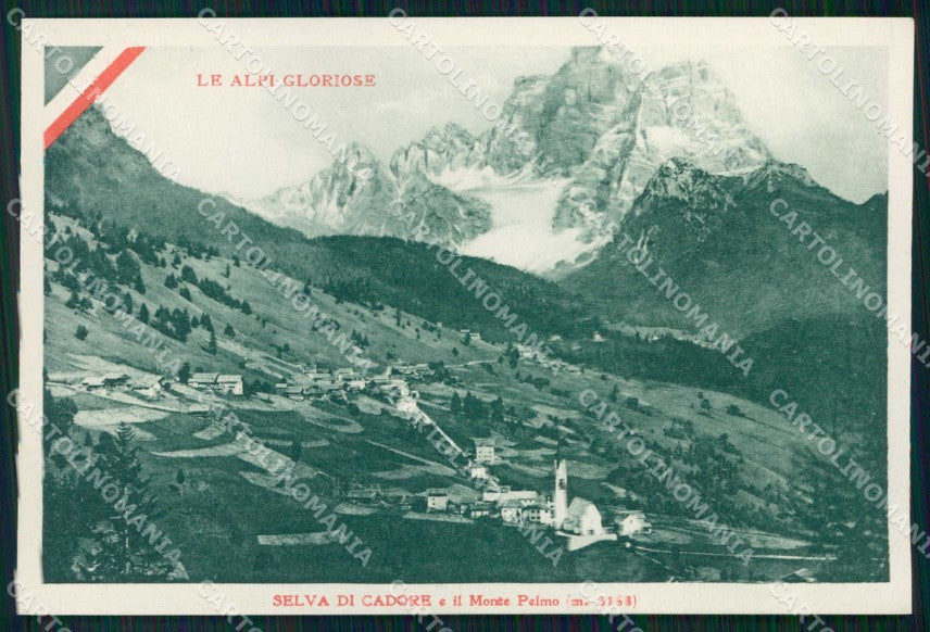 Belluno Selva di Cadore Monte Pelmo Tricolore WW1 Carducci cartolina KF5254 – fronte