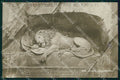 Switzerland Luzern 1916 Bahnpost Ambulant Postmark cartolina KF5755 – fronte