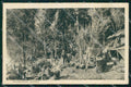 WW1 WWI Militari Accampamento Austriaco cartolina KF5918 – fronte