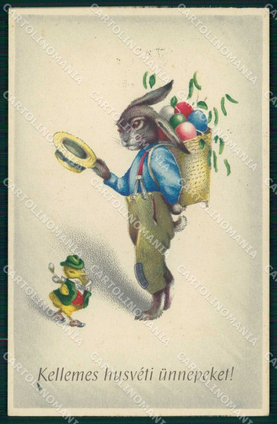 Augurali Pasqua Easter Dressed Rabbit serie 1343 cartolina KF6341 – fronte