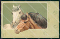Cavallo Cheval Horse Pferd Relief cartolina KF6497 – fronte