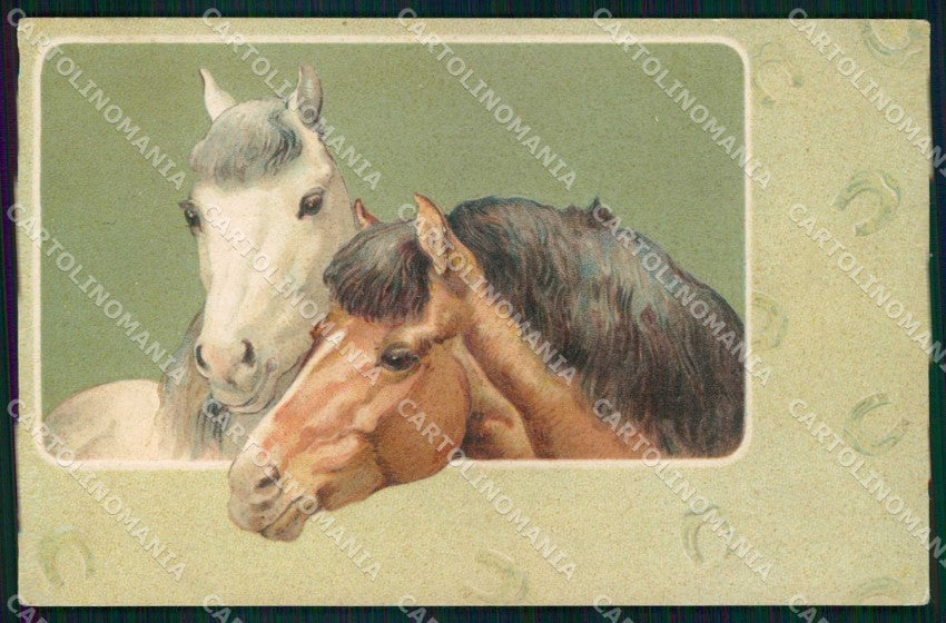 Cavallo Cheval Horse Pferd Relief cartolina KF6497 – fronte