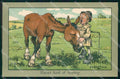 Artist Signed Shepheard Man Horse Faulkner serie 955 comic cartolina KF6502 – fronte