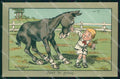 Artist Signed Shepheard Man Horse Faulkner serie 955 comic cartolina KF6505 – fronte