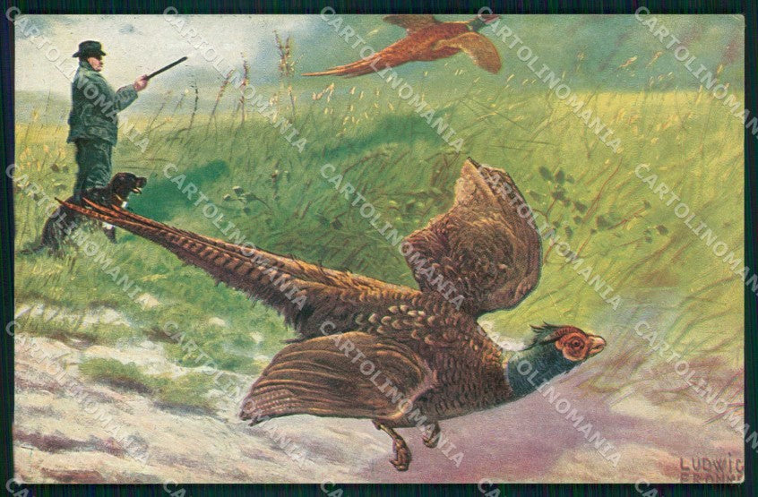 Artist Signed Ludwig Fromme Caccia Hunting Fagiano cartolina KF6590 – fronte
