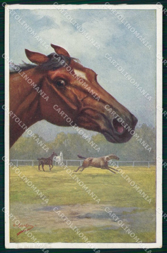 Artist Signed C. Burton Horse Pferd Cavallo BKWI serie 892-1 cartolina KF6599 – fronte