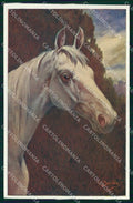 Artist Signed C. Burton Horse Pferd Cavallo BKWI serie 892-3 cartolina KF6600 – fronte