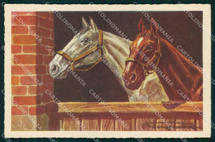 Artist Signed Properzi Horse Pferd Cavallo Degami 929 cartolina KF6603 – fronte