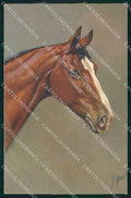 Artist Signed Rivst Horse Pferd Cavallo serie 153 cartolina KF6612 – fronte