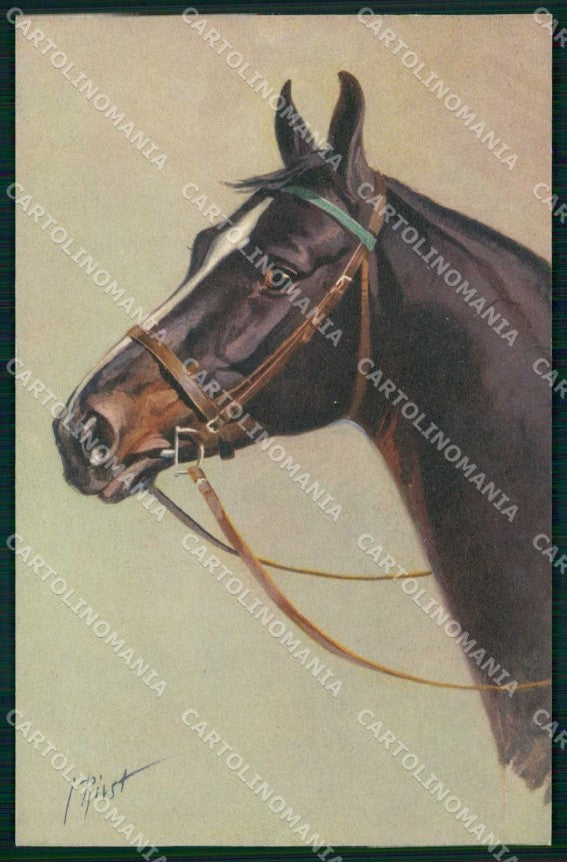 Artist Signed Rivst Horse Pferd Cavallo serie 152 cartolina KF6613 – fronte
