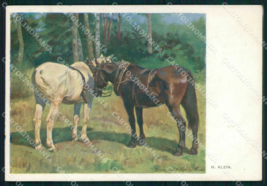 Artist Signed H. Klein Horse Pferd Cavallo serie 482 cartolina KF6614 – fronte