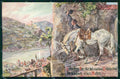 Artist Signed Hans Kauffman Horse Pferd Cavallo cartolina KF6639 – fronte