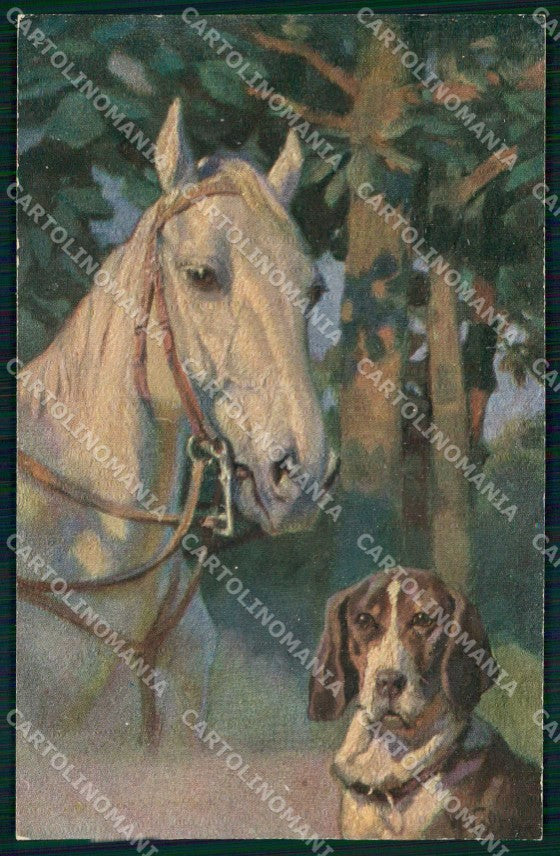 Artist Signed Horse Pferd Cavallo Dog Theo Stroefer serie 378 cartolina KF6668 – fronte