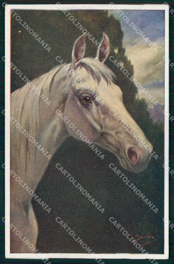 Artist Signed C. Burton Horse Pferd Cavallo BKWI serie 892-4 cartolina KF6675 – fronte