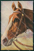 Artist Signed Paul Thomas Horse Pferd Cavallo serie 353 cartolina KF6678 – fronte