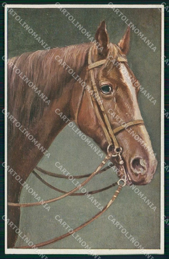 Artist Signed Reichert Horse Pferd Cavallo serie 1422 TSN cartolina KF6683 – fronte