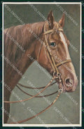 Artist Signed Reichert Horse Pferd Cavallo serie 1422 TSN cartolina KF6683 – fronte