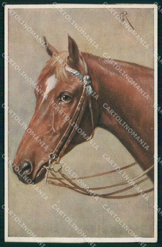 Artist Signed Reichert Horse Pferd Cavallo serie 1422 TSN cartolina KF6684 – fronte