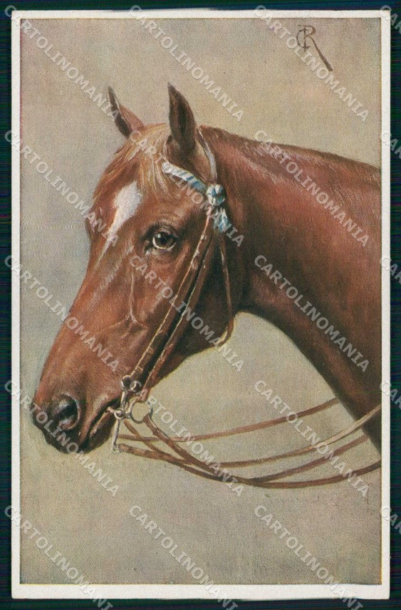 Artist Signed Reichert Horse Pferd Cavallo serie 1422 TSN cartolina KF6689 – fronte