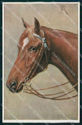 Artist Signed Reichert Horse Pferd Cavallo serie 1422 TSN cartolina KF6689 – fronte
