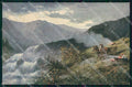 Artist Signed Kaufman Landscape Horse Pferd Cavallo TSN 1324 WRINKLEScartolina K – fronte