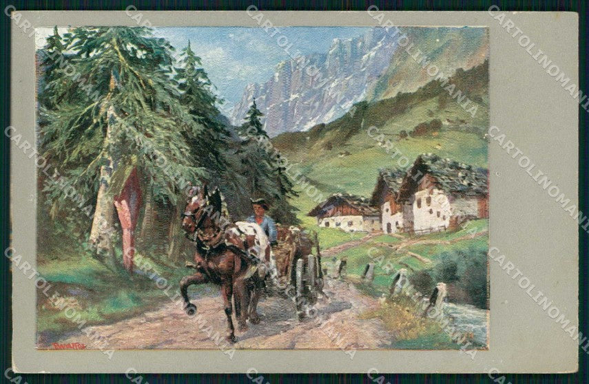 Artist Signed P. Wolf Horse Pferd Cavallo WRINKLES cartolina KF6717 – fronte