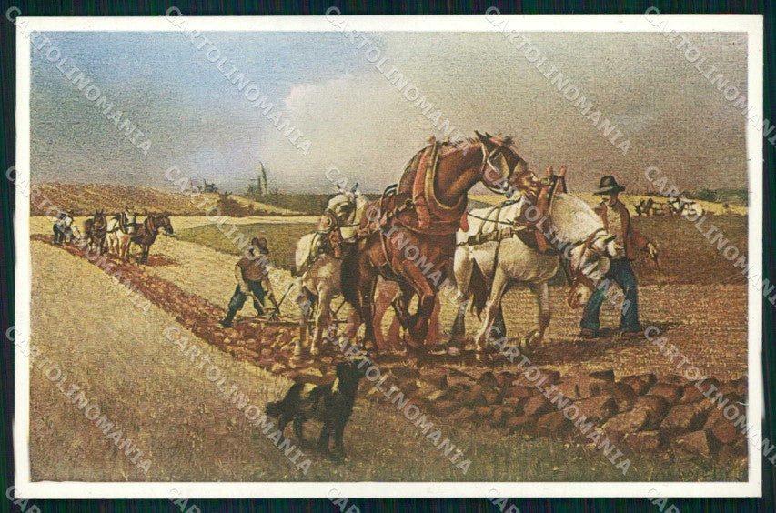 Artist Signed Soressi Aratura Cariplo Banca Cheval Horse Pferd cartolina KF6730 – fronte