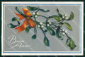 Augurale Natale Vischio Christmas Mistletoe Degami cartolina KF6830 – fronte