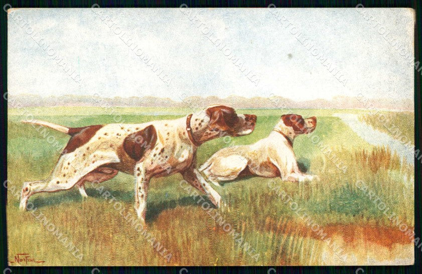Artist Signed Norfini Hunting Dog Pointer serie 1060 cartolina KF6926 – fronte