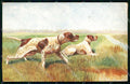 Artist Signed Norfini Hunting Dog Pointer serie 1060 cartolina KF6926 – fronte