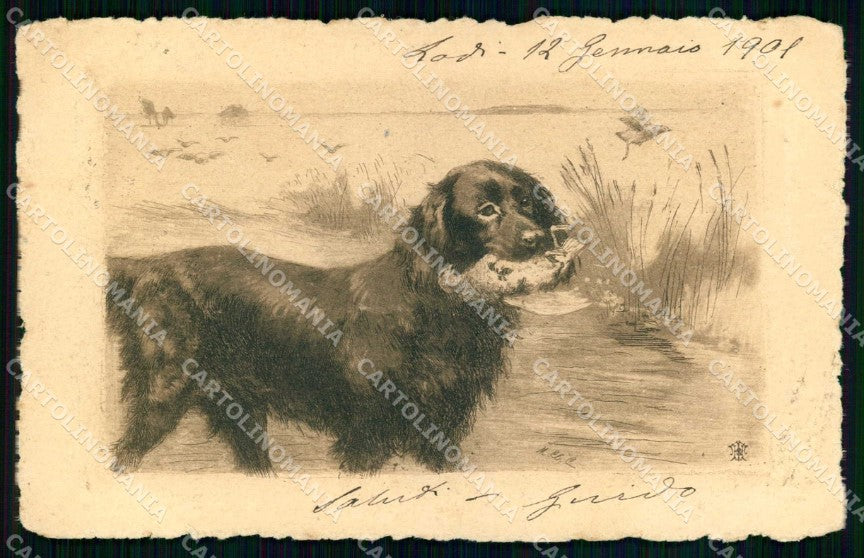 Artist Signed Hunting Dog Caccia Cane cartolina KF6933 – fronte