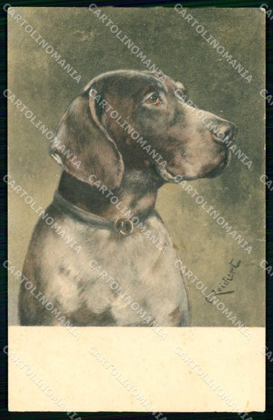Artist Signed C. Reichert Hunting Dog Caccia Pointer Cane TSN 269-4 cp KF6941 – fronte
