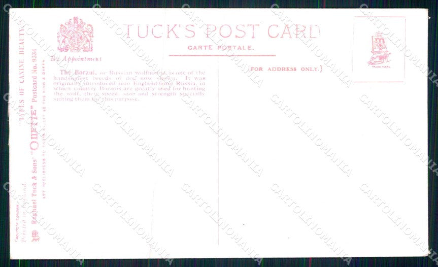 Artist Signed P Stretton Borzoi Hounds Dog Oilette 9534 TRIMMED cartolina KF6949 – retro