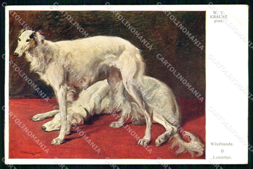 Artist Signed W. V. Krausz Windhunde Borzoi Hounds Dog cartolina KF6950 – fronte