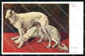 Artist Signed W. V. Krausz Windhunde Borzoi Hounds Dog cartolina KF6950 – fronte