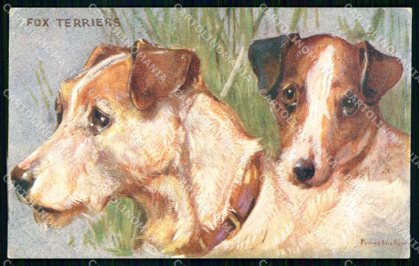 Artist Signed Philip Stretton Fox Terriers Dog Oilette 9534 cartolina KF7284 – fronte