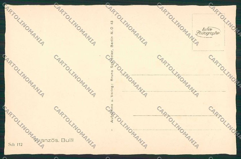 French Bulldog Dog Real Photo postcard KS2741 – retro