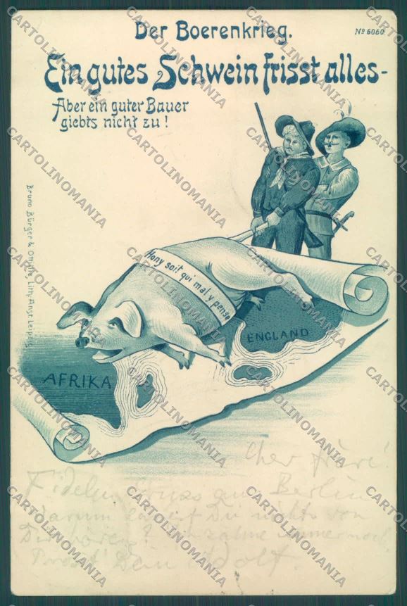 Anglo Boer War Transvaal Pig Boerenkrieg CORNER CREASE postcard cartolina KS2966 – fronte