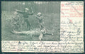 Anglo Boer War Transvaal TEARS CREASE postcard cartolina KS3222 – fronte
