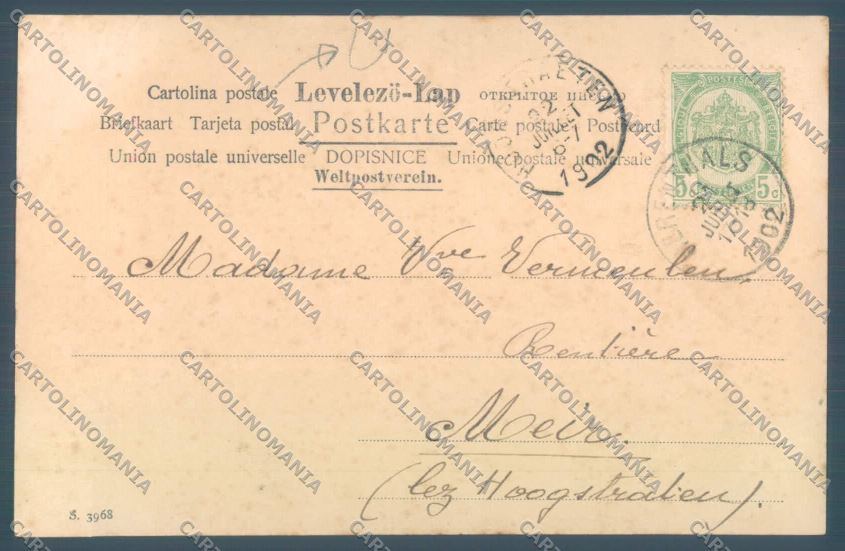 Anglo Boer War Transvaal Sylvester LITTLE TEAR postcard cartolina KS3325 – retro